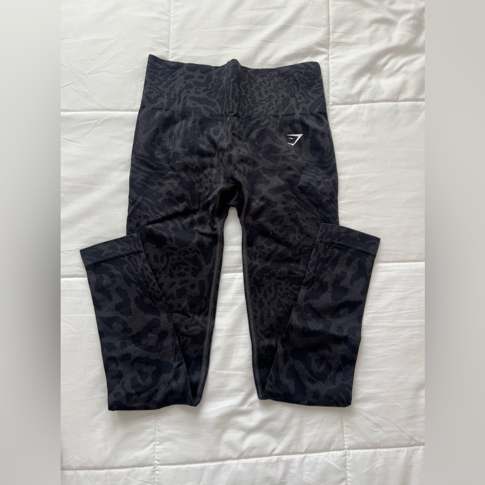 Brand new Adapt Safari